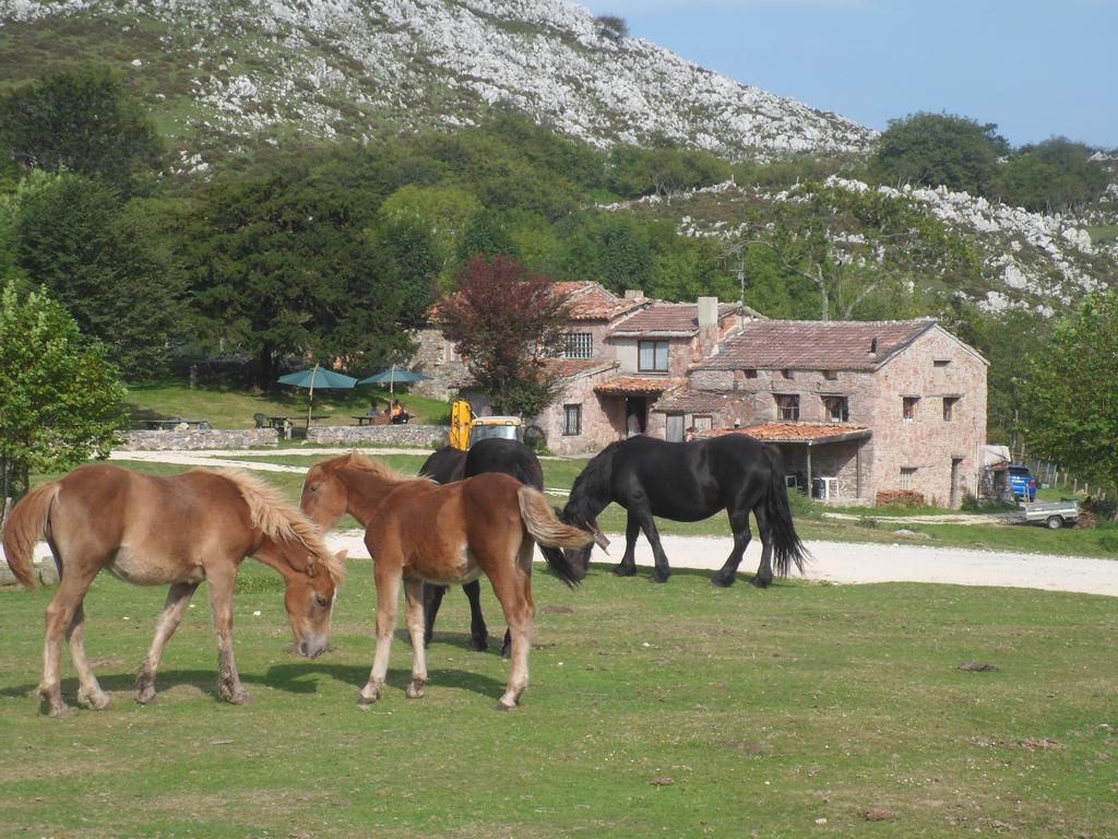 Casa Rural La Retuerta Nava Εξωτερικό φωτογραφία