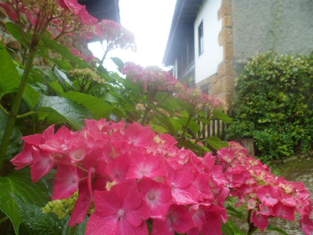Casa Rural La Retuerta Nava Εξωτερικό φωτογραφία